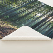 Forests | Black Forest Germany シェルパブランケット (3/4)