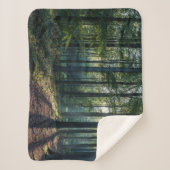 Forests | Black Forest Germany シェルパブランケット (正面)