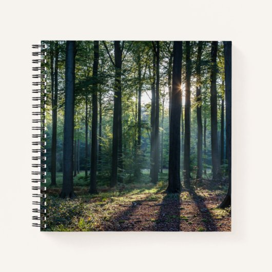 Forests | Black Forest Germany ノートブック (正面)