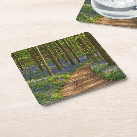 Forests | Bluebell Forest in Belgium スクエアペーパーコースター (アングル)