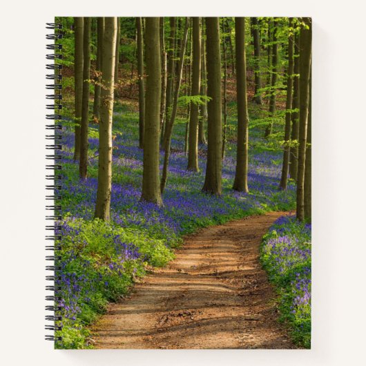 Forests | Bluebell Forest in Belgium ノートブック (正面)