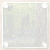 Forests | Bluebells in Belgium ガラスコースター (裏面)
