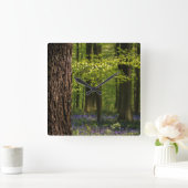 Forests | Bluebells in Belgium スクエア壁時計 (ホーム)