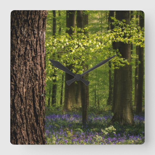 Forests | Bluebells in Belgium スクエア壁時計 (正面)