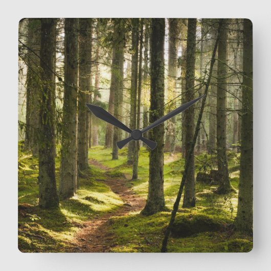 Forests | Boreal Forest Sweden スクエア壁時計 (正面)