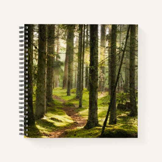 Forests | Boreal Forest Sweden ノートブック (正面)