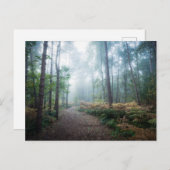 Forests | Dark Foggy Woods Norfolk UK ポストカード (正面/裏面)