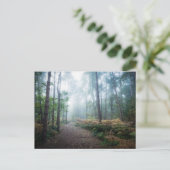 Forests | Dark Foggy Woods Norfolk UK ポストカード (スタンド正面)