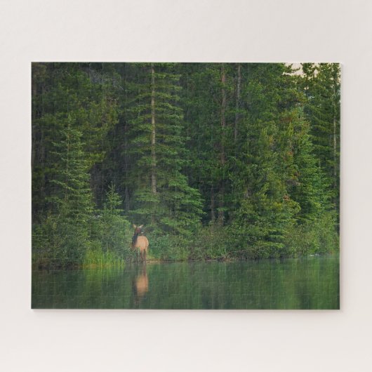 Forests | Elk at Banff National Park Alberta ジグソーパズル (横)