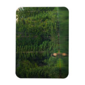 Forests | Elk at Banff National Park Alberta マグネット (縦)