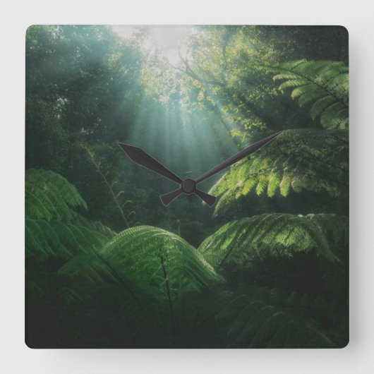 Forests | Ferns in Rainforest スクエア壁時計 (正面)