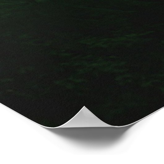 Forests | Ferns in Rainforest ポスター (角)