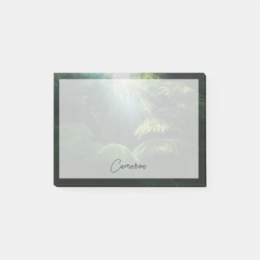 Forests | Ferns in Rainforest ポストイット (正面)