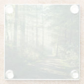Forests | Forest Path Hamburg Germany ガラスコースター (裏面)