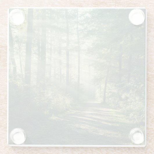 Forests | Forest Path Hamburg Germany ガラスコースター (裏面)