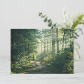 Forests | Forest Path Hamburg Germany サンキューカード (スタンド正面)