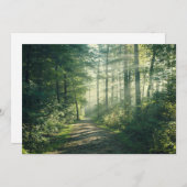 Forests | Forest Path Hamburg Germany サンキューカード (正面/裏面)