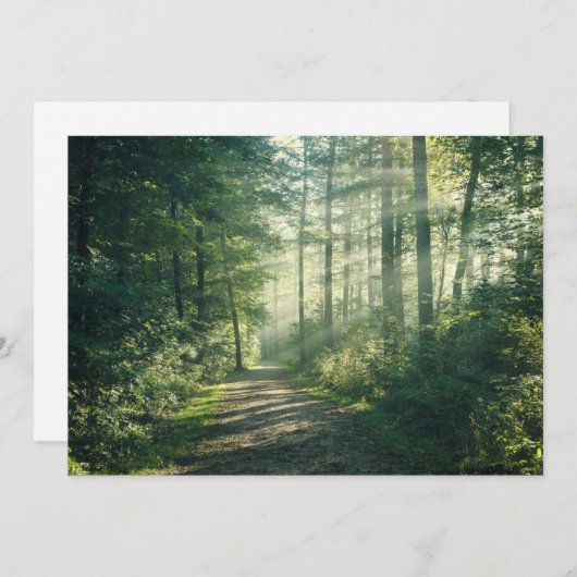 Forests | Forest Path Hamburg Germany サンキューカード (正面/裏面)