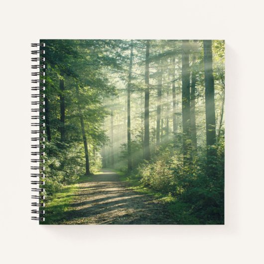 Forests | Forest Path Hamburg Germany ノートブック (正面)