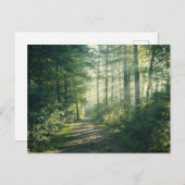 Forests | Forest Path Hamburg Germany ポストカード (正面/裏面)
