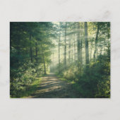 Forests | Forest Path Hamburg Germany ポストカード (正面)