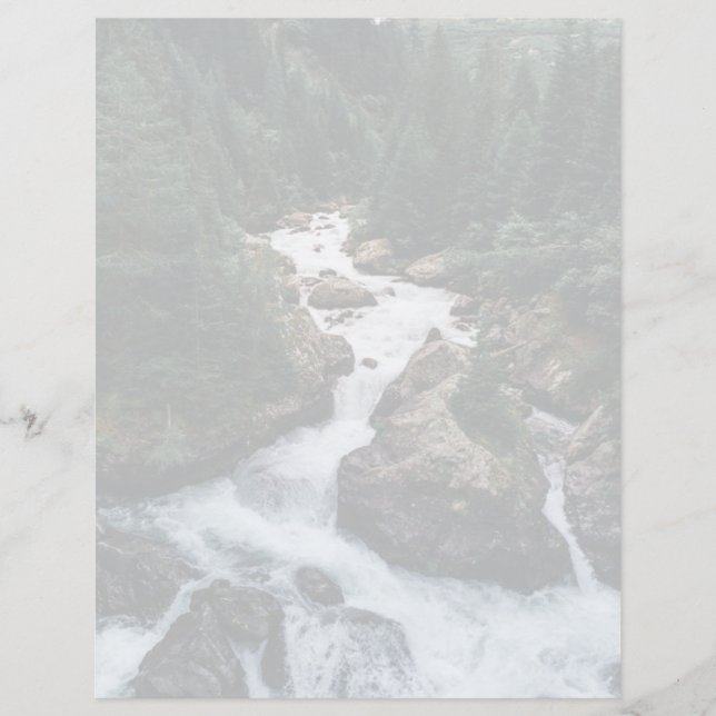 Forests | Grison Graubunden Canton (正面)