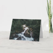 Forests | Grison Graubunden Canton カード (正面)