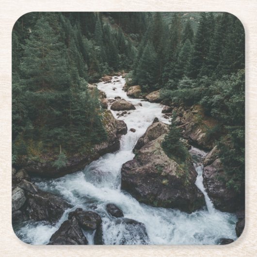 Forests | Grison Graubunden Canton スクエアペーパーコースター (正面)