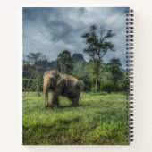 Forests | Kao Sok National Park ノートブック (裏面)