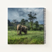 Forests | Kao Sok National Park ノートブック (裏面)