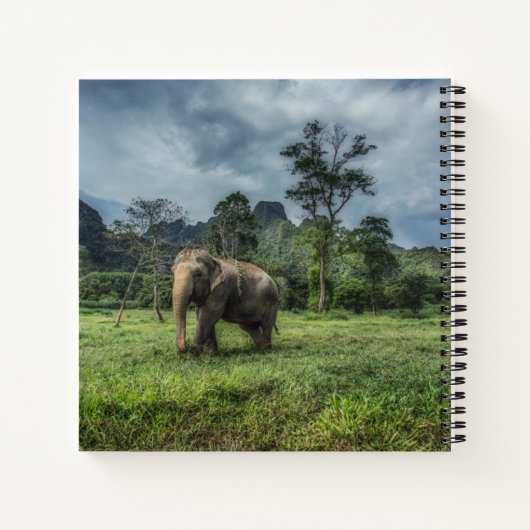 Forests | Kao Sok National Park ノートブック (裏面)