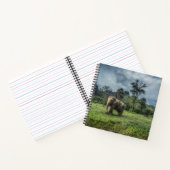 Forests | Kao Sok National Park ノートブック (内部)