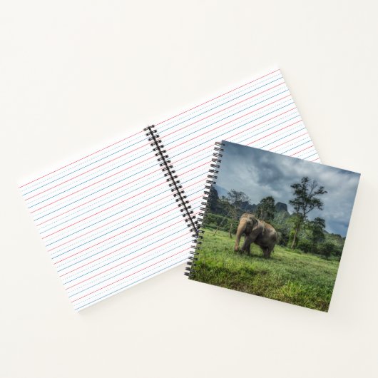 Forests | Kao Sok National Park ノートブック (内部)