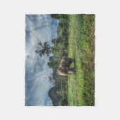 Forests | Kao Sok National Park フリースブランケット (正面)