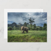 Forests | Kao Sok National Park ポストカード (正面/裏面)