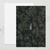 Forests | Lalibela Game Reserve サンキューカード (正面/裏面)