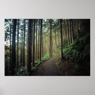 Forests Mountains of Wakayama Japan ポスター