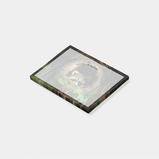 Forests | Raccoon Peeking ポストイット (アングル)