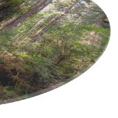 Forests | Redwood Forest California カッティングボード (角)