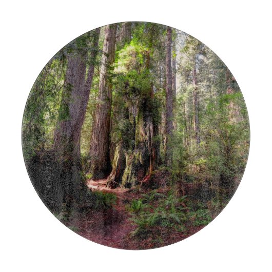 Forests | Redwood Forest California カッティングボード (正面)