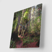 Forests | Redwood Forest California スクエア壁時計 (傾斜)