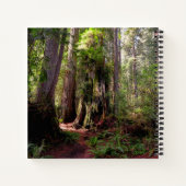 Forests | Redwood Forest California ノートブック (裏面)