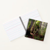 Forests | Redwood Forest California ノートブック (内部)