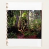 Forests | Redwood Forest California プランナー手帳 (正面)