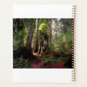Forests | Redwood Forest California プランナー手帳 (裏面)