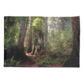 Forests | Redwood Forest California 枕カバー (裏面)