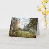 Forests | Sun Peeking Thru カード (黄色い花)
