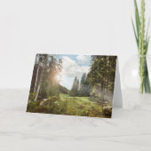 Forests | Sun Peeking Thru カード (正面)