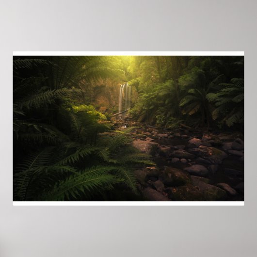 Forests | Sunlight Highlights Waterfall ポスター (正面)