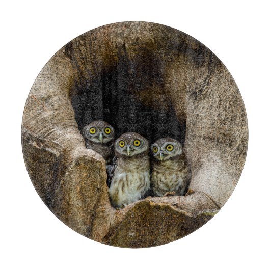 Forests | Three Owls Looking カッティングボード (正面)